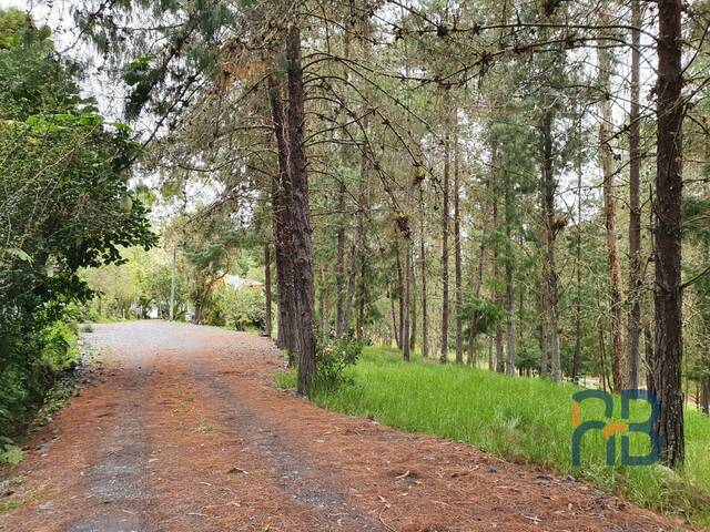 Terreno para Venta en Cuenca - 5