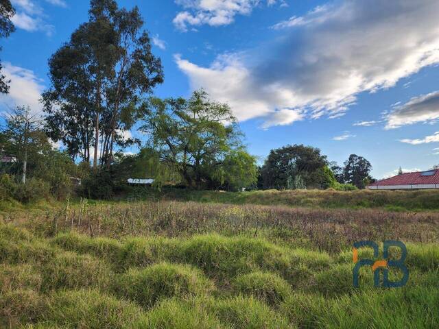 Terreno para Venta en Cuenca - 5