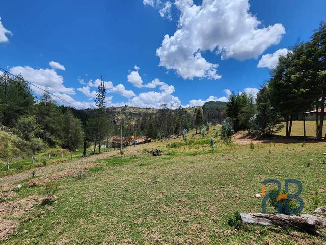 Terreno para Venta en Cuenca - 5