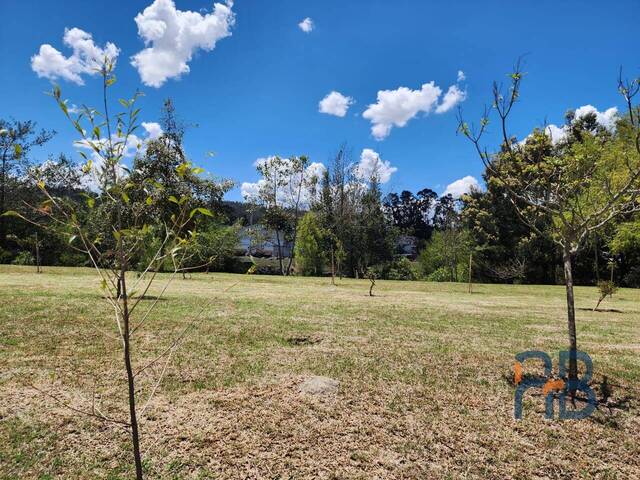 Terreno para Venta en Cuenca - 4